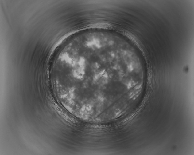 X0000115600923200912081110