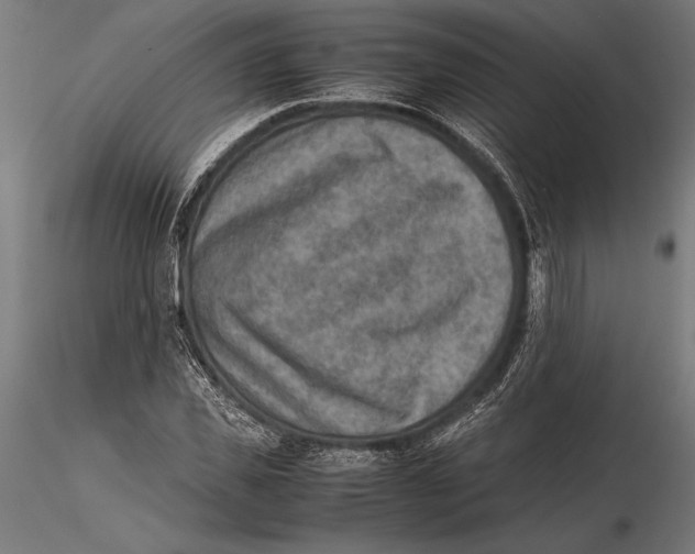 X0000115600925200912081110