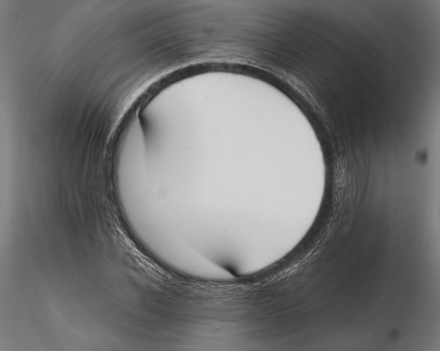 X0000115600926200912081110