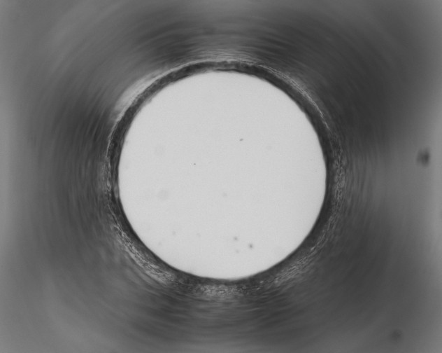 X0000115600927200912081110