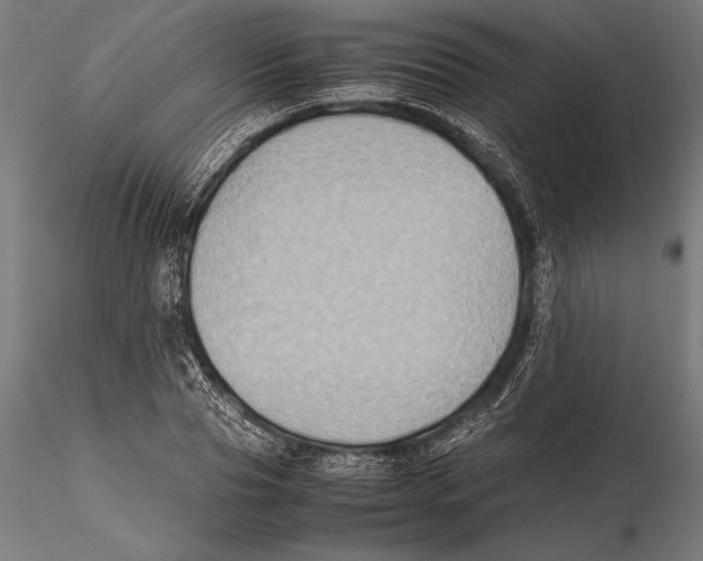 X0000115600929200912081110