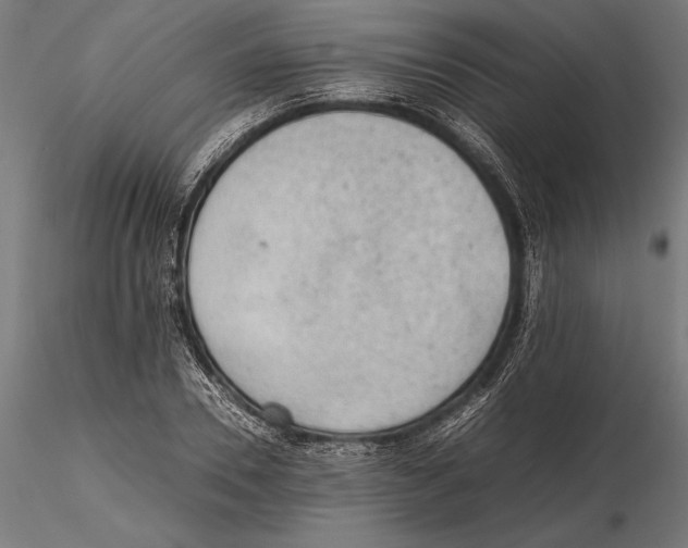 X0000115600930200912081110