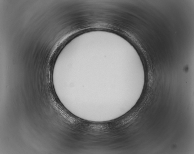 X0000115600931200912081110