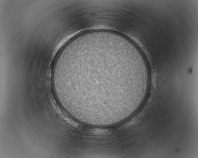 X0000115600933200912081110