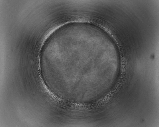 X0000115600935200912081110