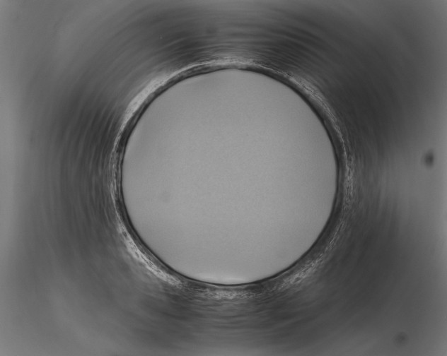 X0000115600941200912081110