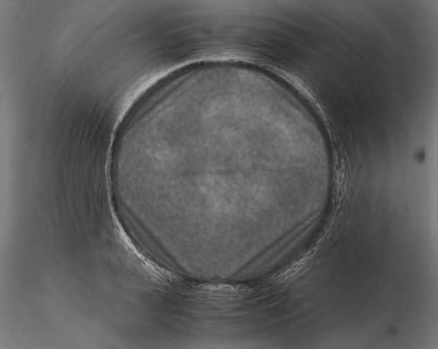 X0000115600943200912081110