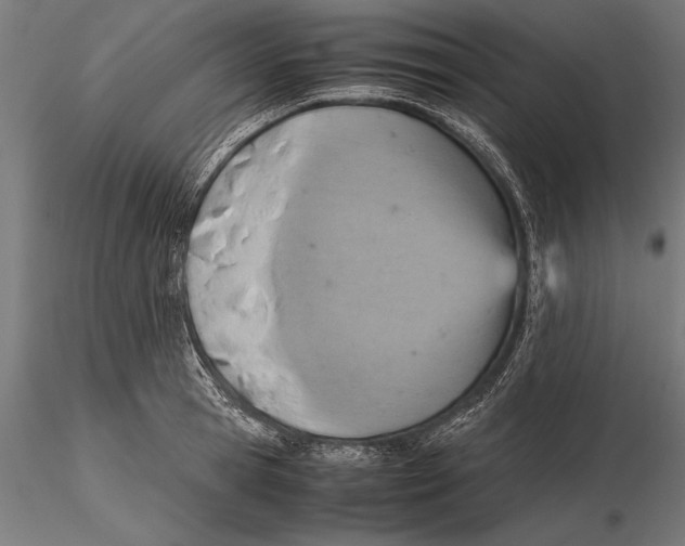 X0000115600945200912081110