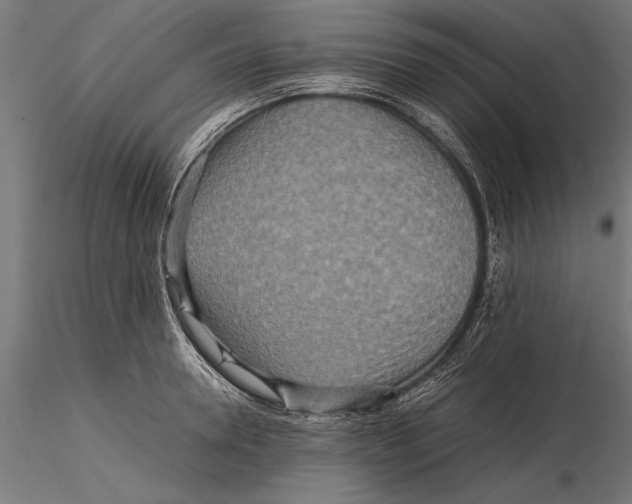 X0000115600946200912081110