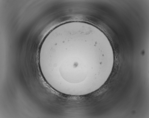 X0000115600950200912081110