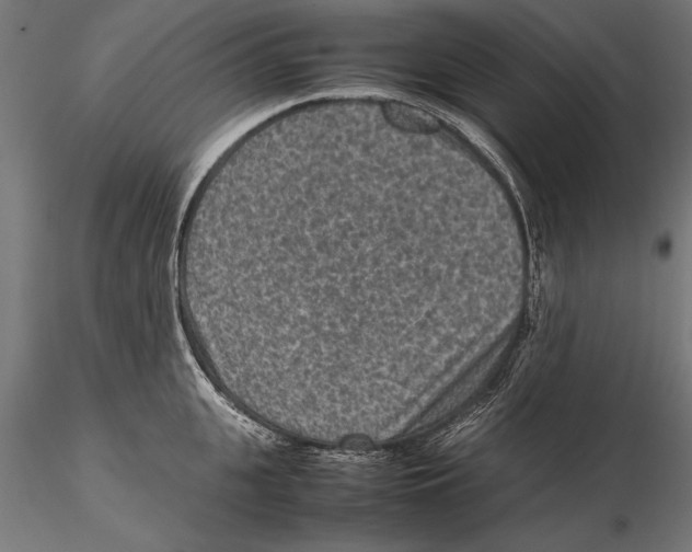 X0000115600951200912081110