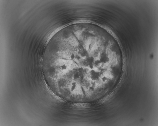 X0000115600953200912081110