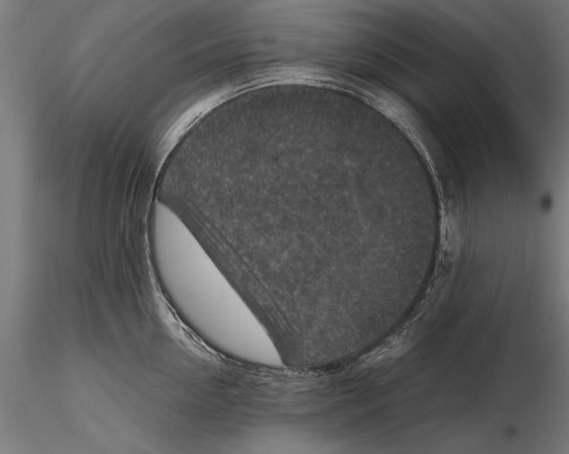 X0000115600954200912081110