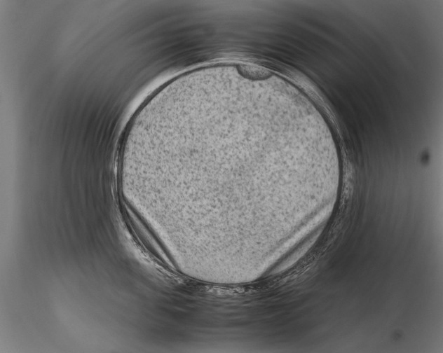 X0000115600955200912081110