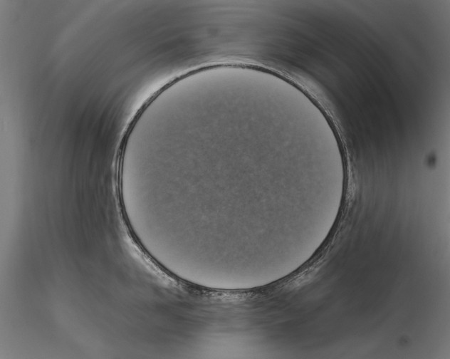 X0000115600958200912081110