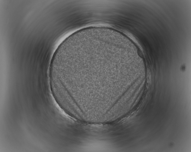 X0000115600959200912081110