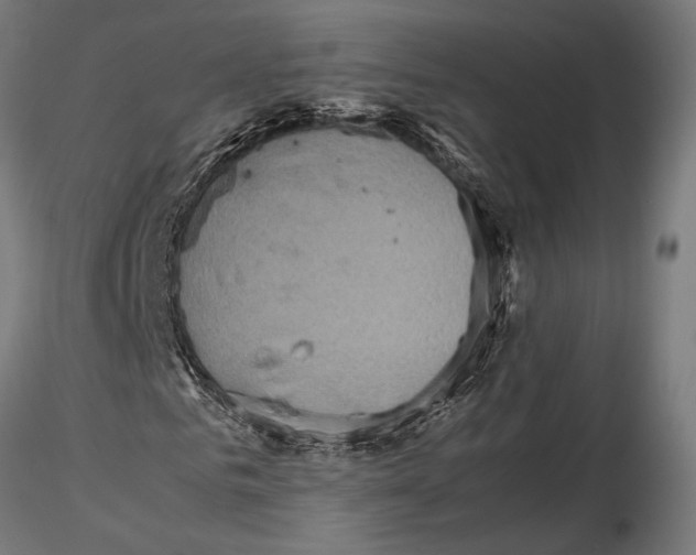 X0000115600961200912081110