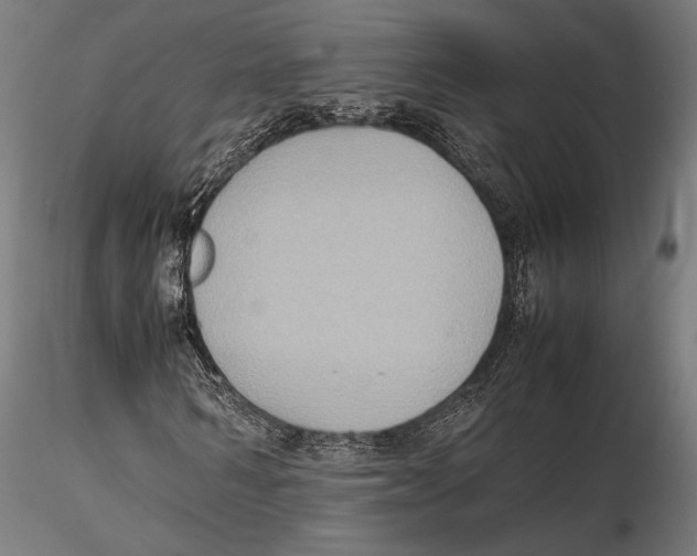 X0000115600962200912081109