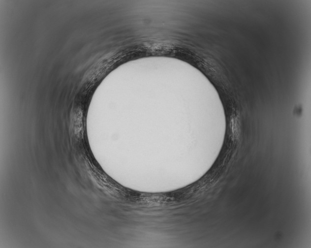 X0000115600963200912081109