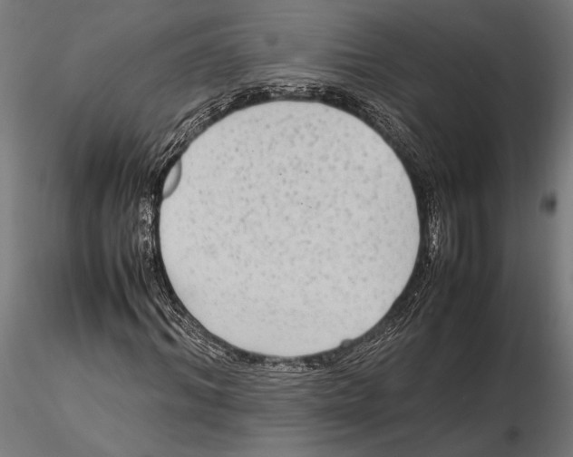 X0000115600964200912081109