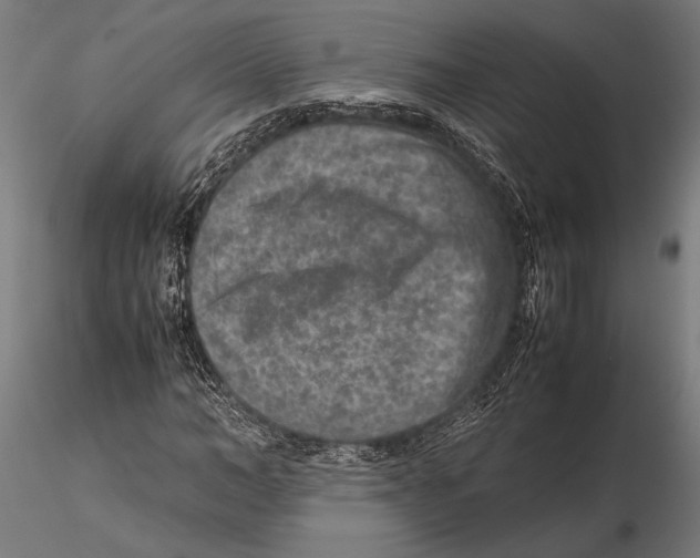 X0000115600966200912081109