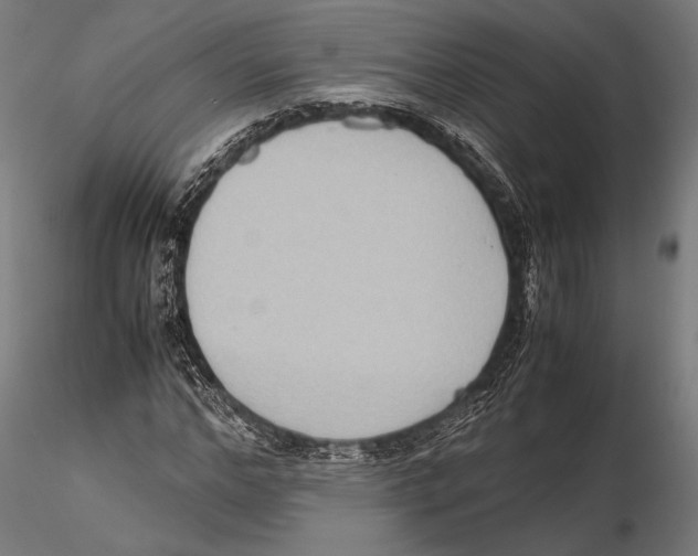 X0000115600968200912081109