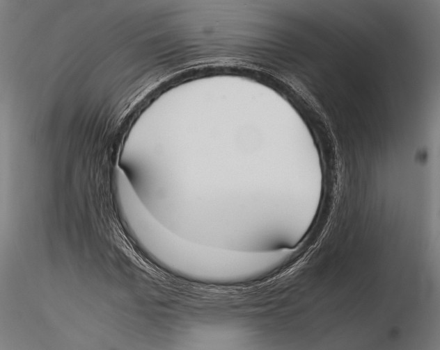 X0000115600969200912081109