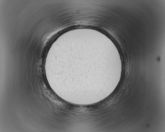 X0000115600971200912081109