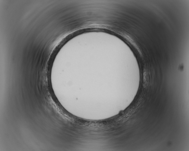 X0000115600972200912081109