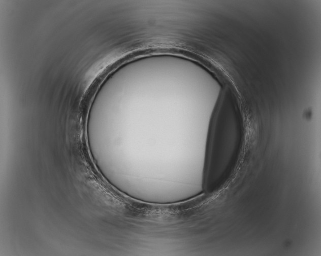 X0000115600973200912081109