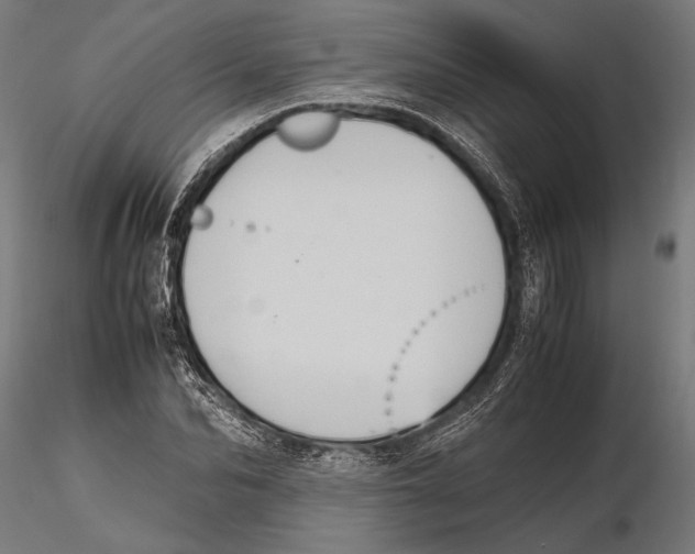 X0000115600974200912081109