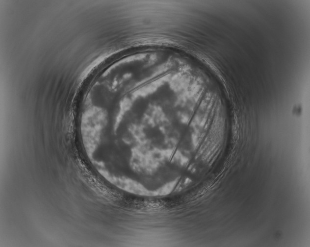 X0000115600975200912081109