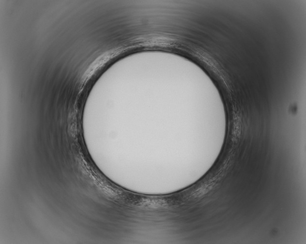 X0000115600978200912081109