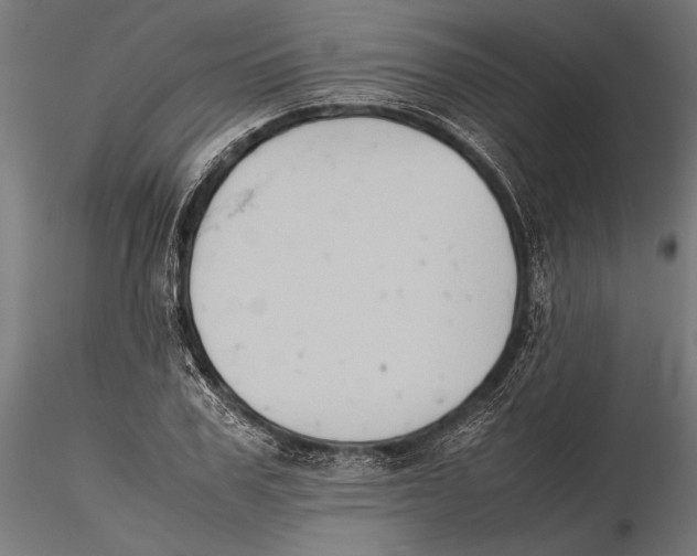 X0000115600979200912081109