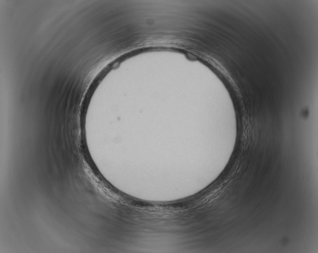 X0000115600980200912081109