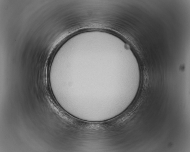 X0000115600982200912081109