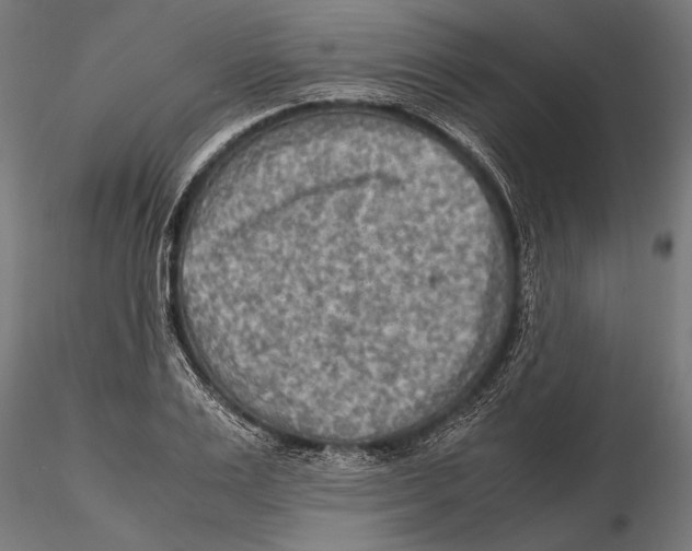 X0000115600983200912081109