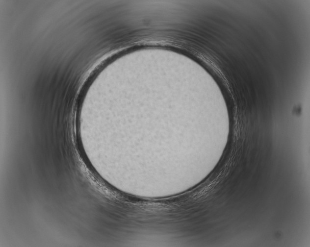 X0000115600984200912081109