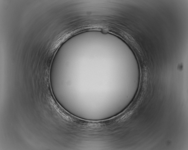 X0000115600985200912081109