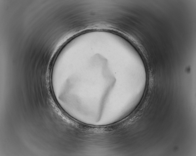 X0000115600990200912081109