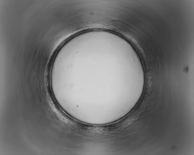 X0000115600991200912081109