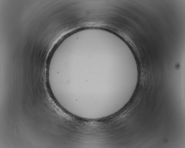 X0000115600992200912081109