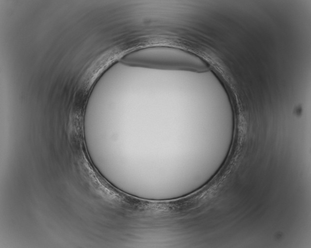 X0000115600993200912081109