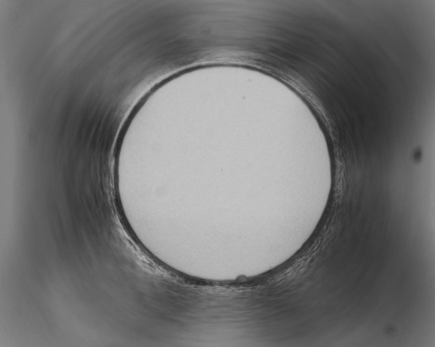 X0000115600996200912081109