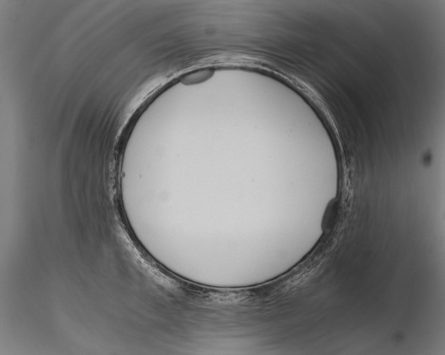 X0000115600997200912081109