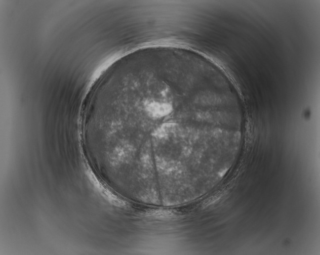 X0000115600998200912081109