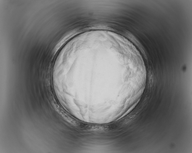 X0000115601002200912081109