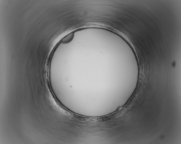 X0000115601003200912081109