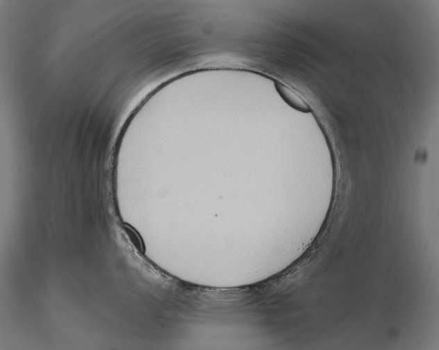 X0000115601008200912081109