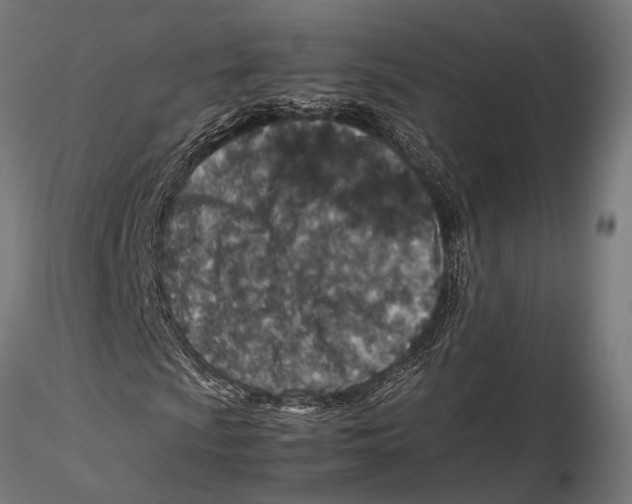 X0000115601009200912081108